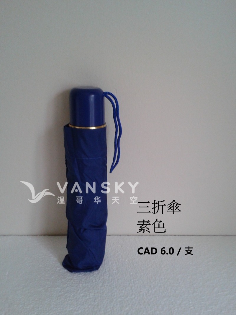 250313073900_3 fold.jpg